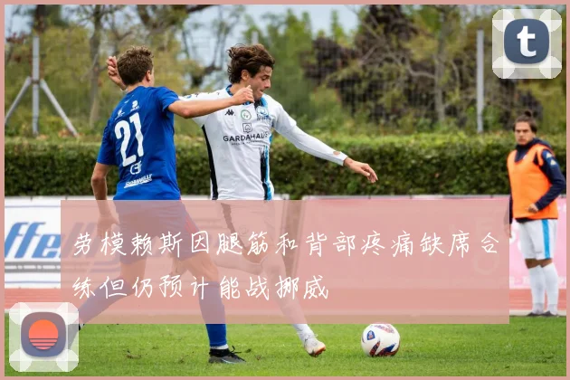 劳模赖斯因腿筋和背部疼痛缺席合练但仍预计能战挪威
