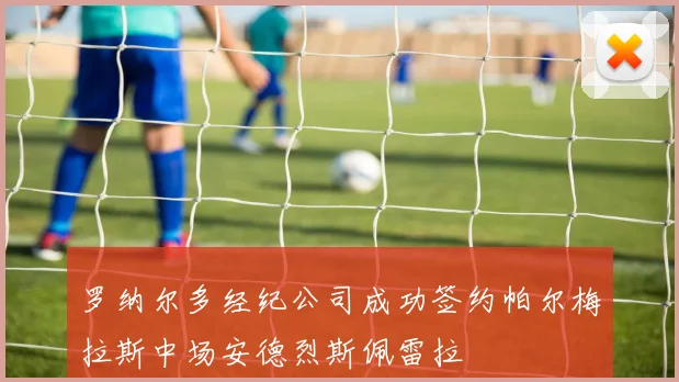 罗纳尔多经纪公司成功签约帕尔梅拉斯中场安德烈斯佩雷拉