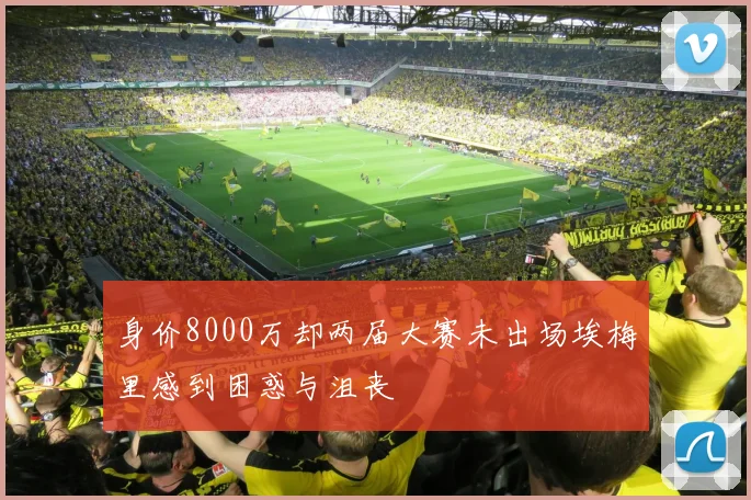 身价8000万却两届大赛未出场埃梅里感到困惑与沮丧